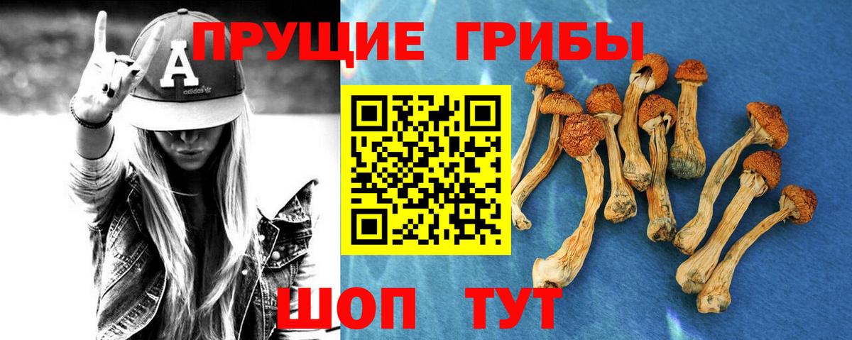 Галлюциногенные грибы ЛСД Фурманов