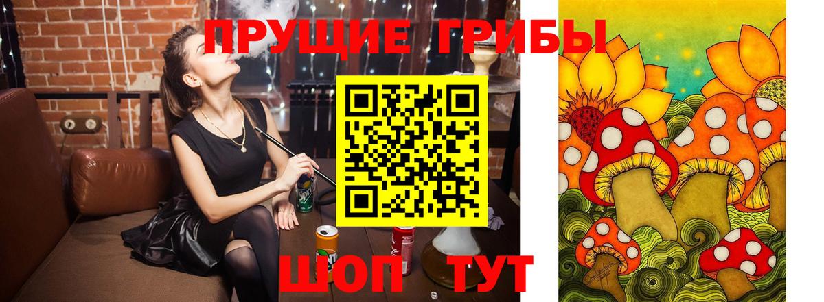 Псилоцибиновые грибы Cubensis  Вход с VPN  Фурманов 